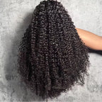Violet Human Hair Wig, with Transparent Swiss Lace 13x4 Black, Straight, Body Wave and Water